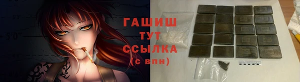 гидра Белокуриха