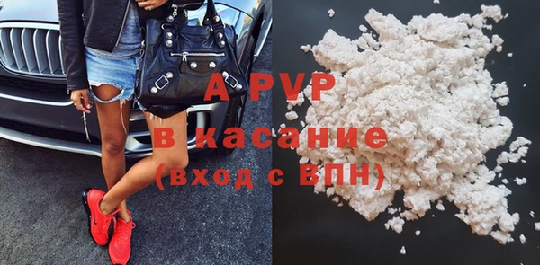 гашик Сосновка