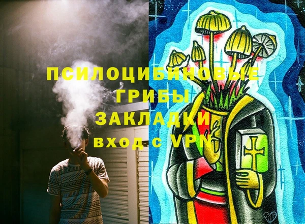 гидра Белокуриха