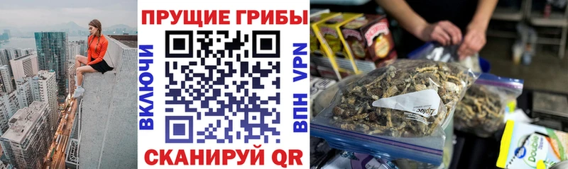 магазин    Высоцк  Галлюциногенные грибы GOLDEN TEACHER 